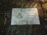image of grave number 337707