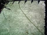 image of grave number 337753