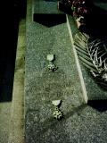image of grave number 273338