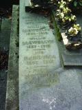 image of grave number 273323