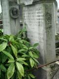 image of grave number 273247