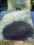 image of grave number 273301