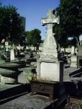 Old Parisian