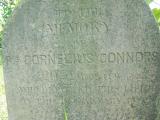 image of grave number 225100