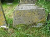 image of grave number 785503