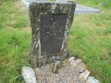 image of grave number 785526
