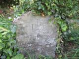 image of grave number 729989