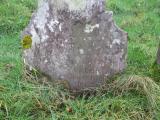 image of grave number 814547