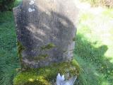 image of grave number 785356