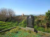 image of grave number 785305