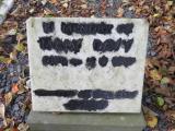 image of grave number 529261