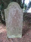 image of grave number 529296
