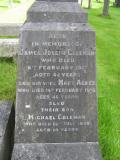 image of grave number 545781
