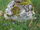 image of grave number 638934