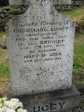 image of grave number 639452