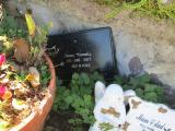 image of grave number 642833