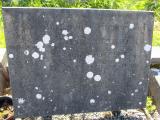 image of grave number 642722