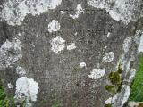 image of grave number 640849