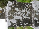 image of grave number 649373