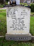 image of grave number 608384