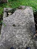 image of grave number 608392