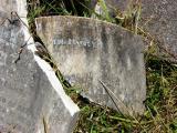 image of grave number 177259
