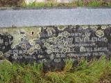 image of grave number 177310