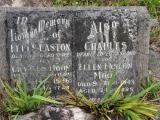 image of grave number 177324