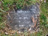 image of grave number 177367