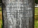 image of grave number 176457