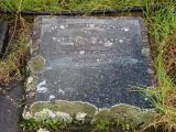 image of grave number 176457