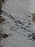 image of grave number 176474