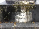 image of grave number 176517