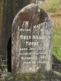 image of grave number 176531