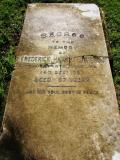 image of grave number 176564