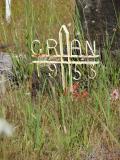 image of grave number 176282