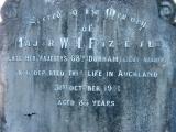 image of grave number 176607