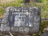 image of grave number 176292