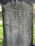 image of grave number 176311