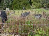 image of grave number 176900