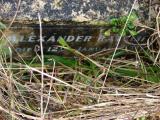 image of grave number 176900