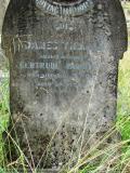 image of grave number 176317