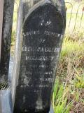 image of grave number 176917