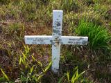 image of grave number 176920