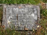 image of grave number 176967