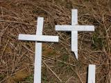 image of grave number 176969