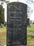 image of grave number 177100
