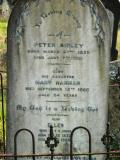 image of grave number 176342