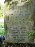 image of grave number 177188
