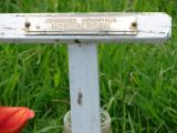 image of grave number 206021